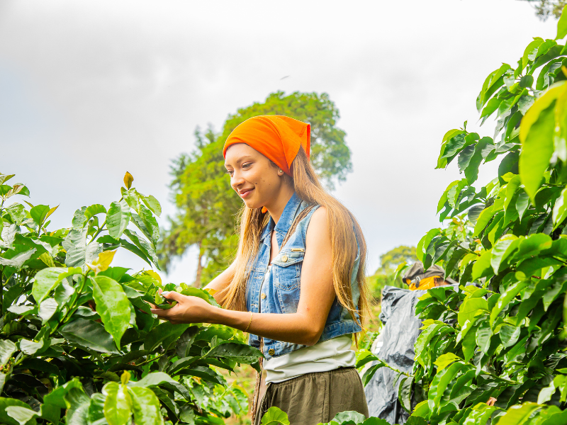 Carrusel Venecia (10)