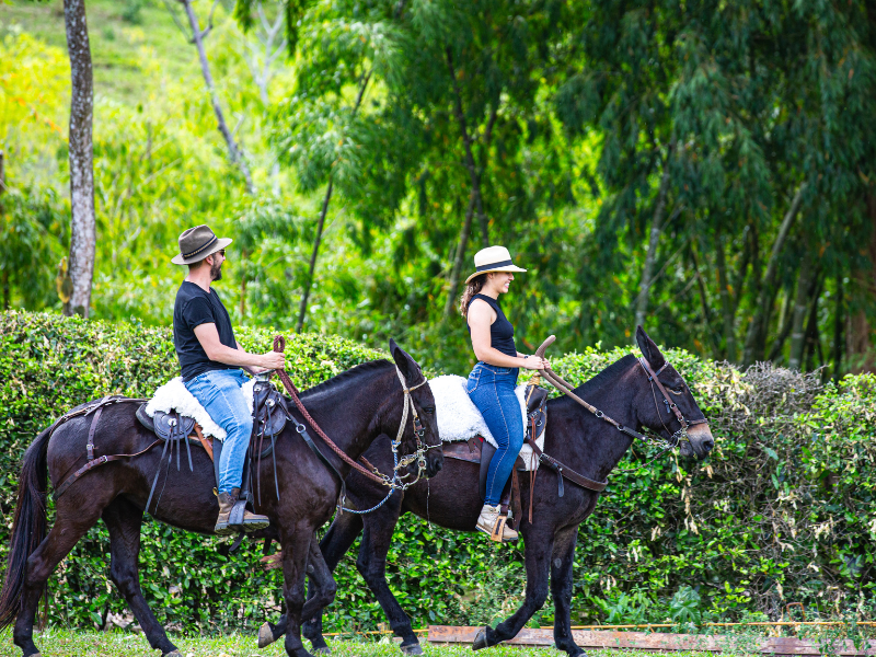 Carrusel Venecia (4)